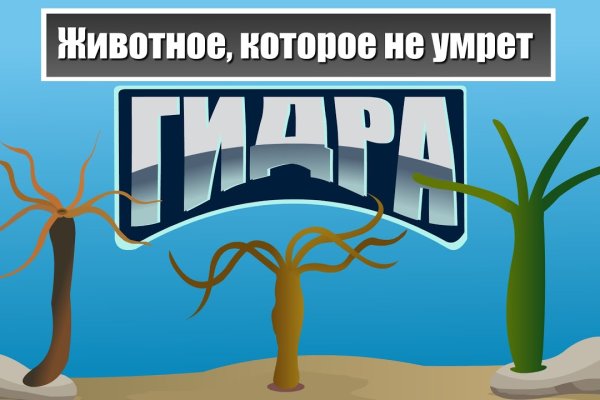 Кракен продает наркотики