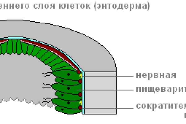 Кракен не приходят деньги