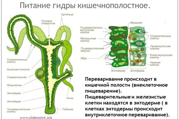 Официальный сайт kraken ссылки зеркала